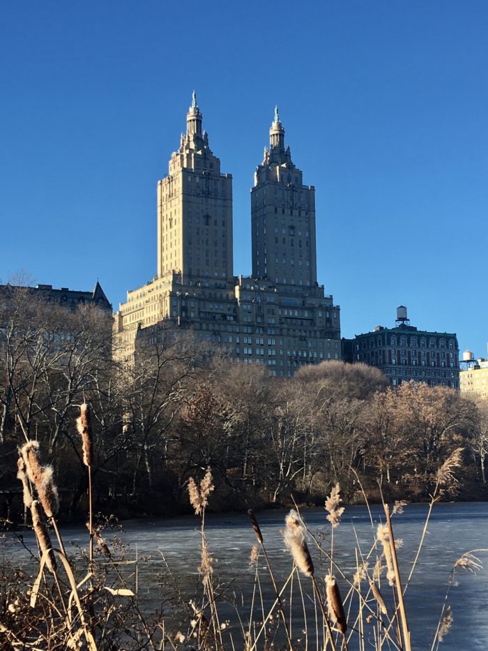 christmas-in-new-york-city-central-park-the-beresford